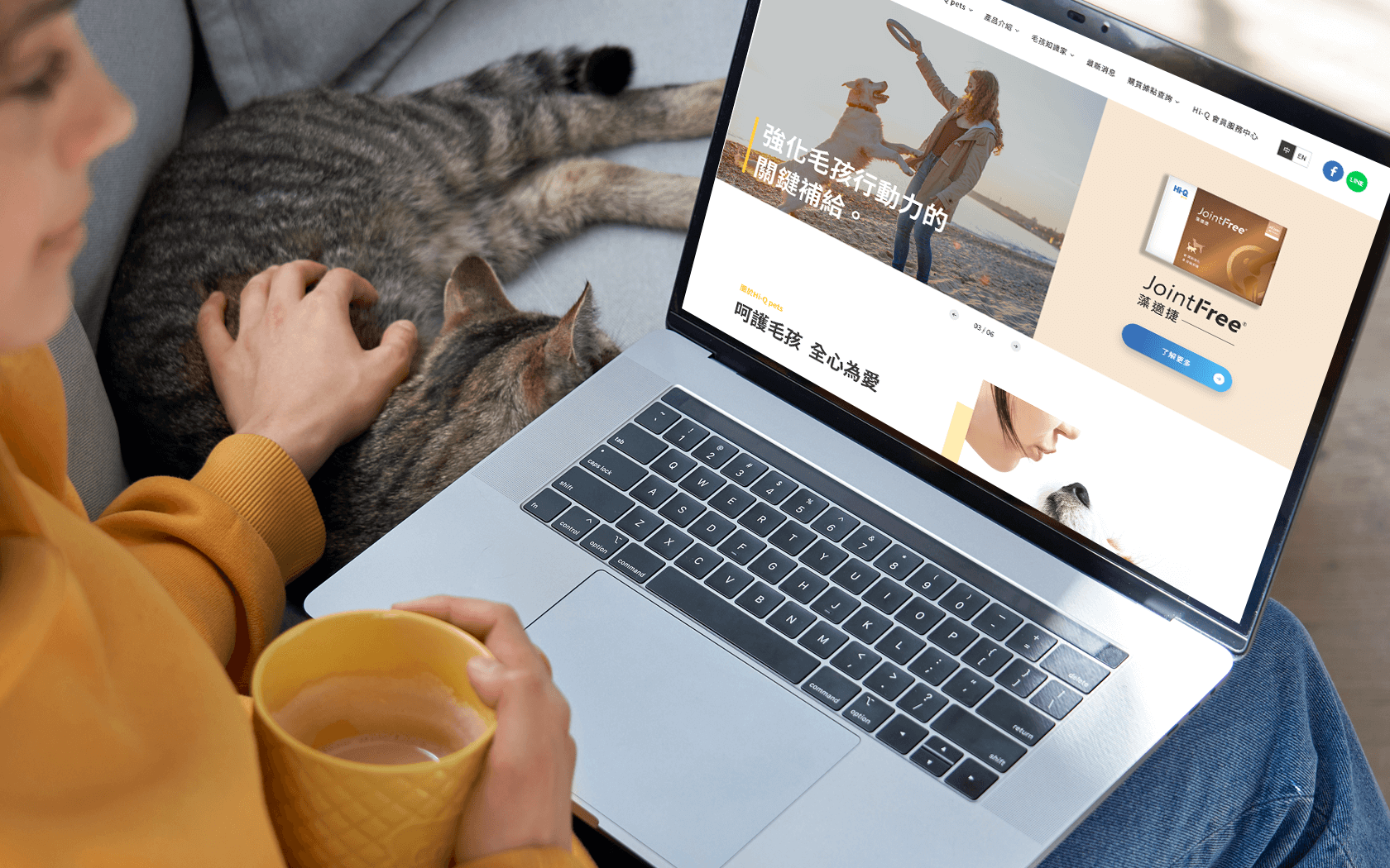 Hi-Q pets 官網改版｜打造寵物保健品牌的信任感與使用者體驗