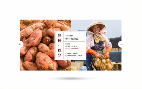 【官網設計】關於地瓜的節令 UX 設計