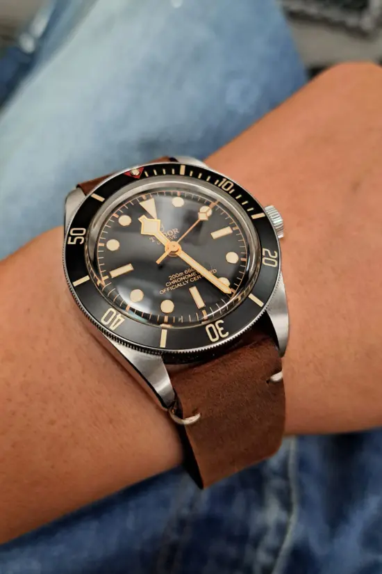 在高鐵上遇到同為 Tudor 帝舵同好