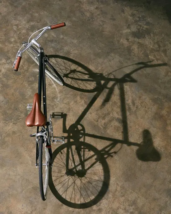 他試著偷我的 Tokyobike，我陪他一起解鎖